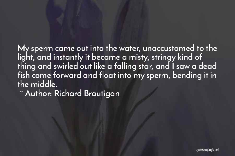 Falling Star Wish Quotes By Richard Brautigan