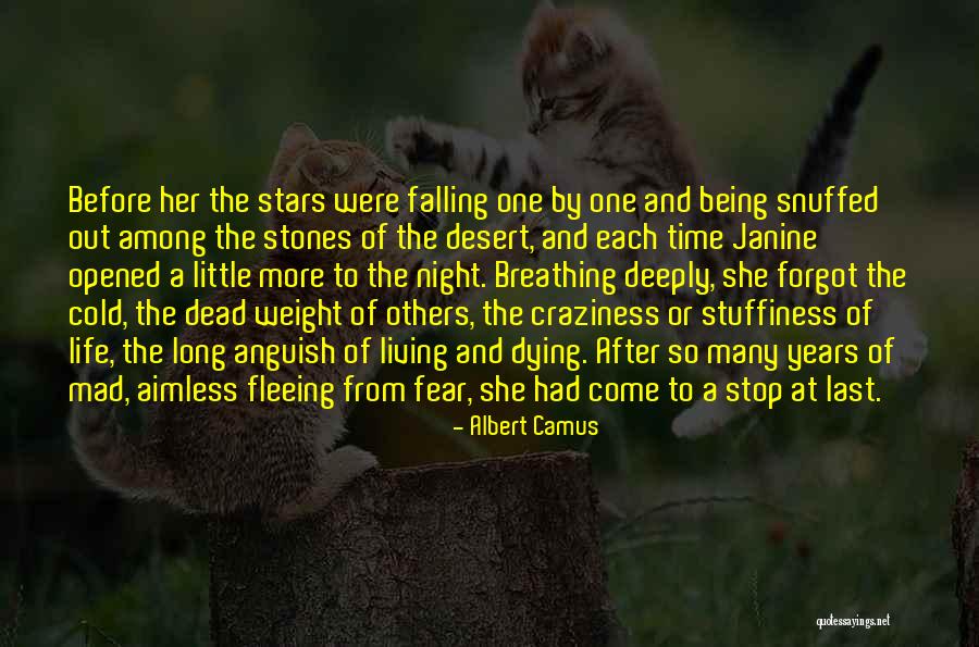 Falling Stars Quotes By Albert Camus