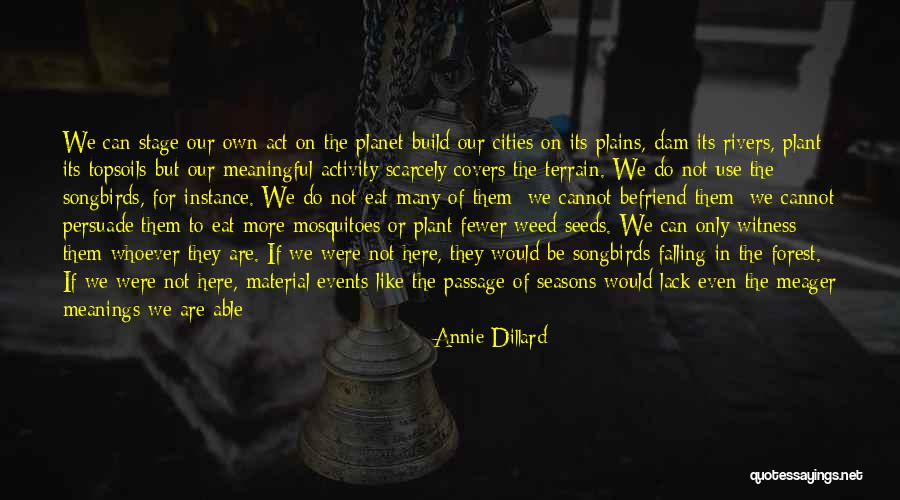 Falling Stars Quotes By Annie Dillard