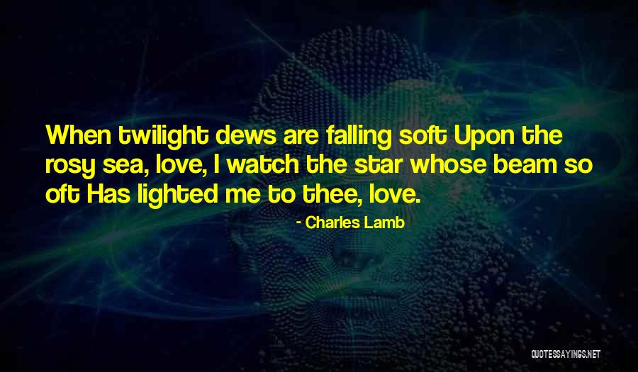 Falling Stars Quotes By Charles Lamb