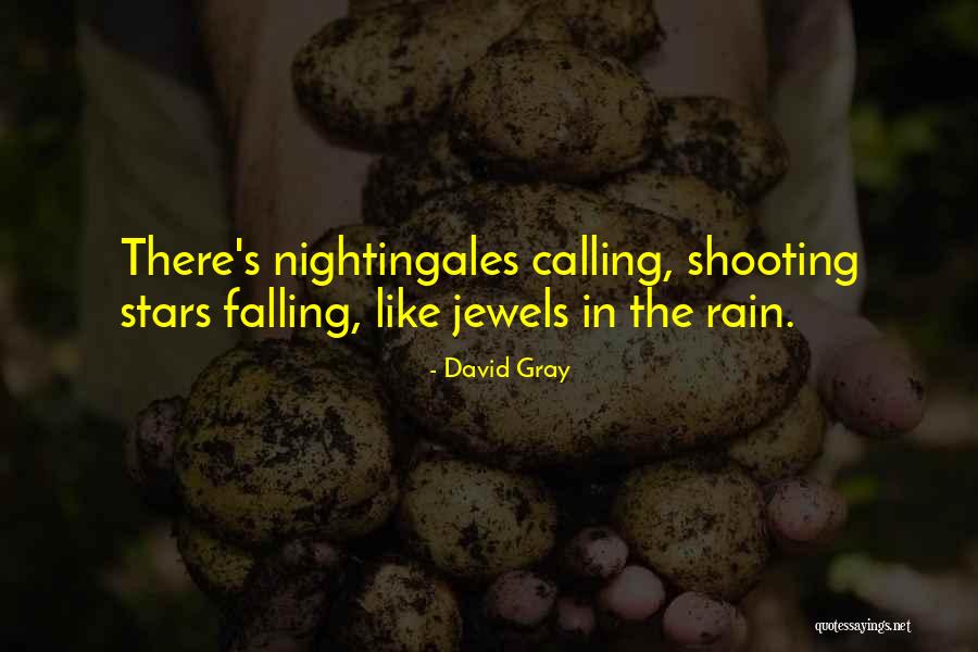 Falling Stars Quotes By David Gray