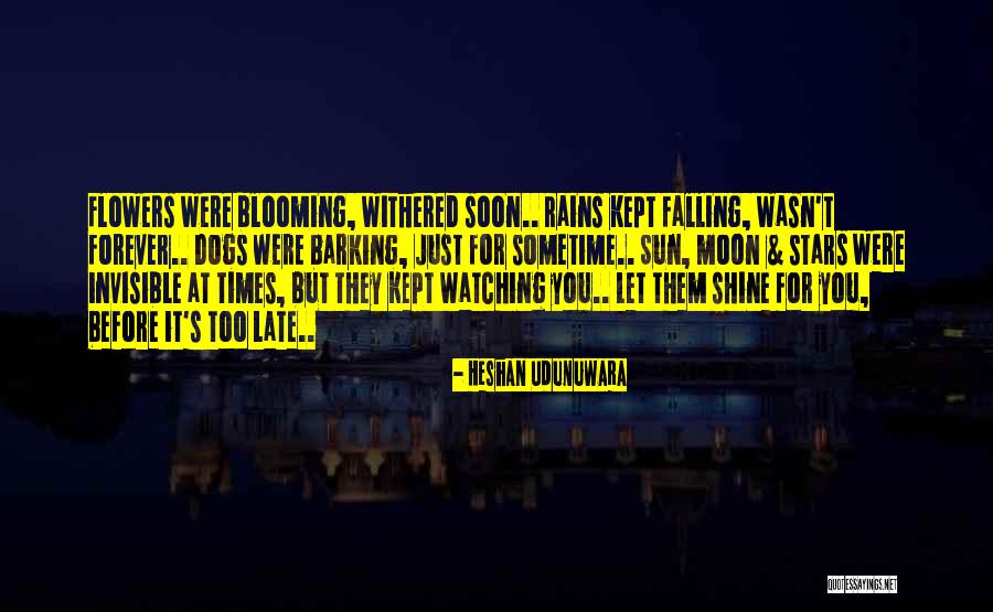 Falling Stars Quotes By Heshan Udunuwara