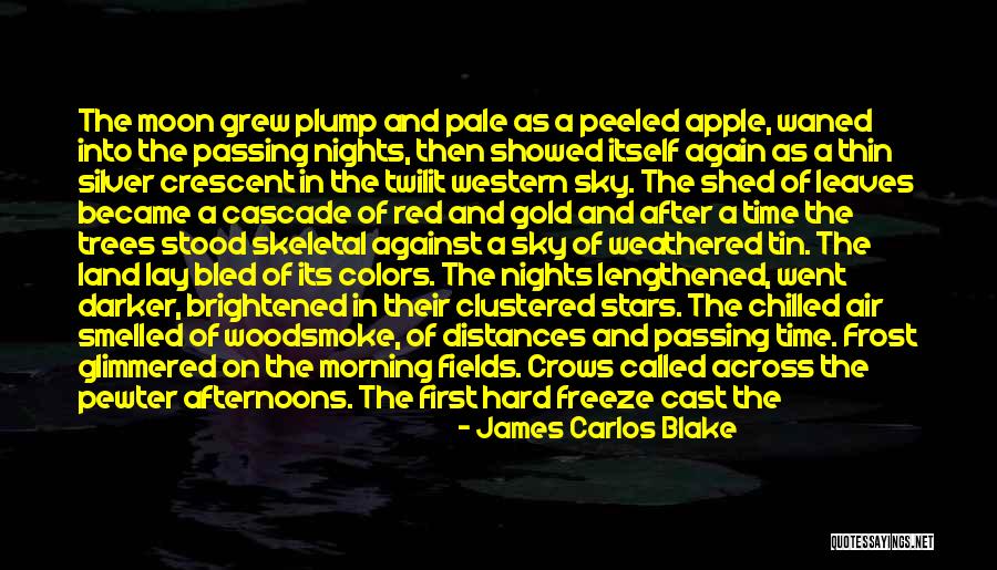 Falling Stars Quotes By James Carlos Blake