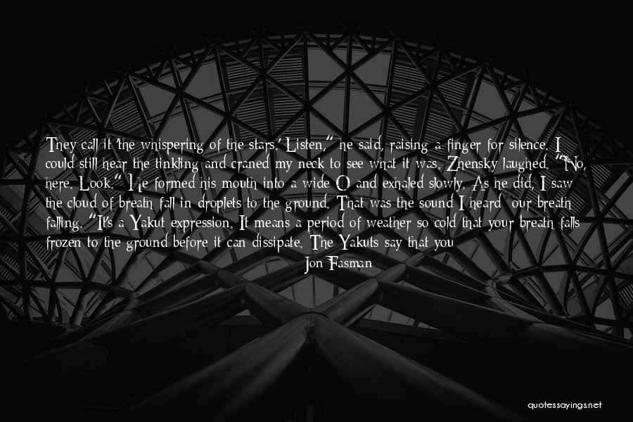 Falling Stars Quotes By Jon Fasman