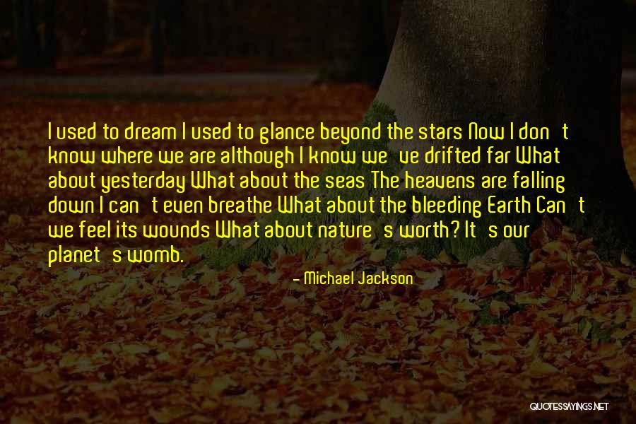 Falling Stars Quotes By Michael Jackson