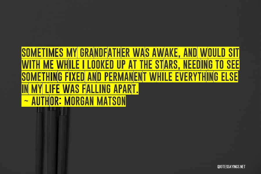 Falling Stars Quotes By Morgan Matson