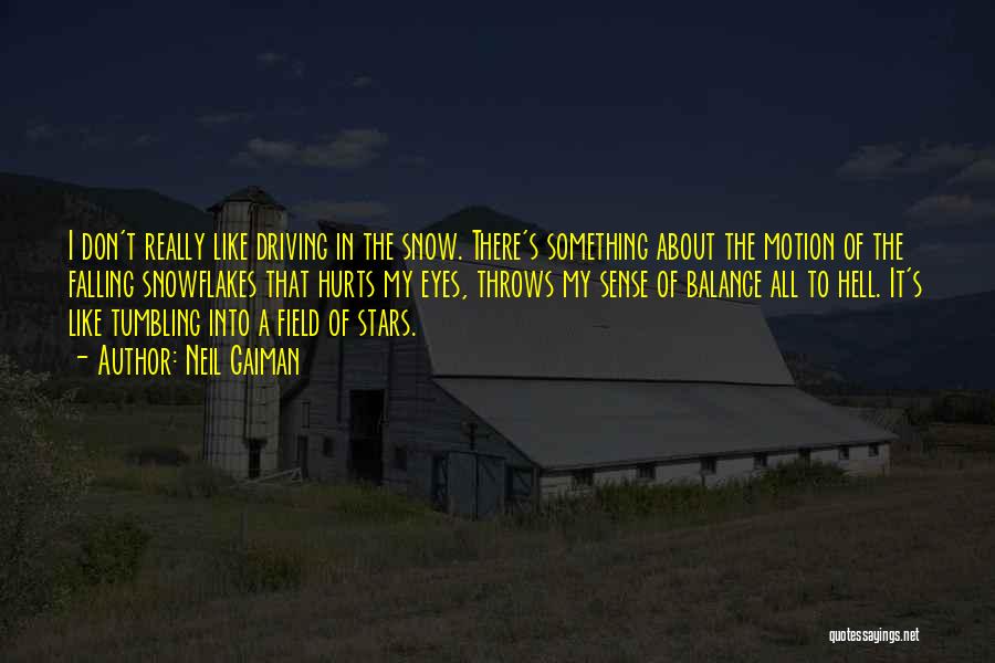 Falling Stars Quotes By Neil Gaiman