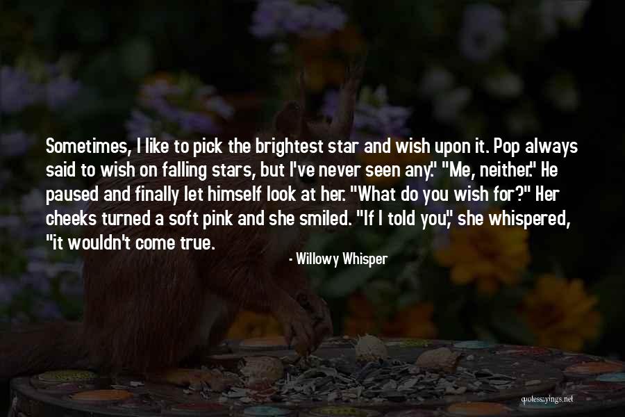 Falling Stars Quotes By Willowy Whisper