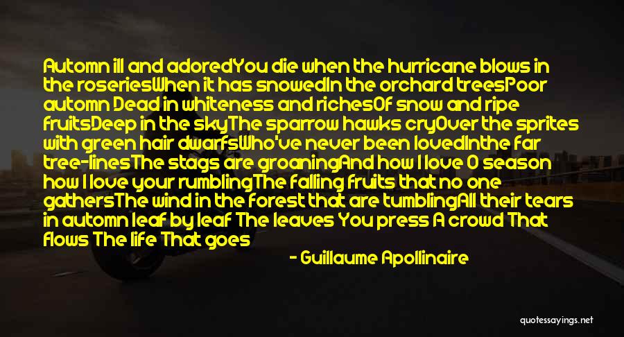 Falling Too Deep Quotes By Guillaume Apollinaire