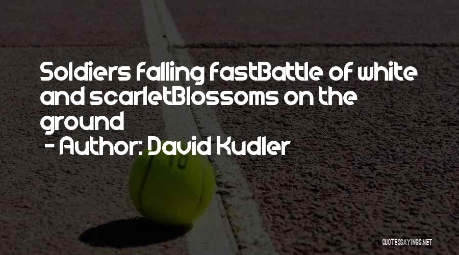 Falling Too Fast Quotes By David Kudler