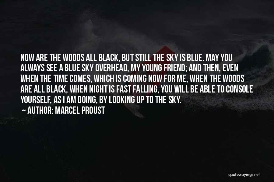 Falling Too Fast Quotes By Marcel Proust