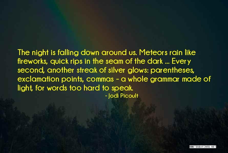 Falling Too Hard Quotes By Jodi Picoult