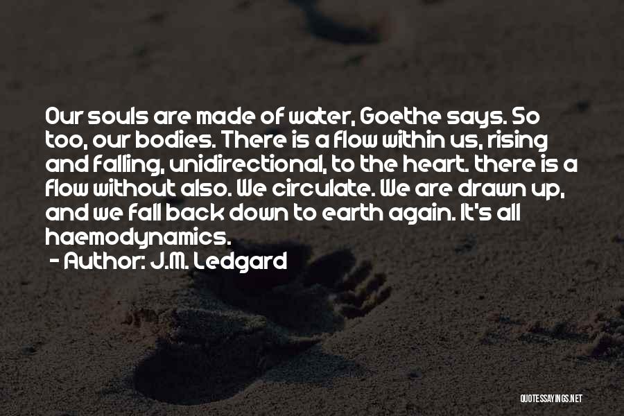Falling Water Quotes By J.M. Ledgard