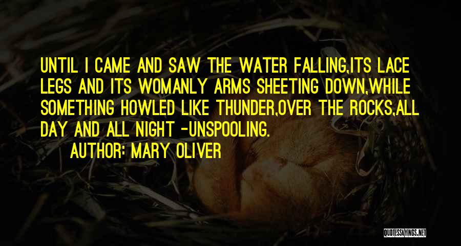 Falling Water Quotes By Mary Oliver