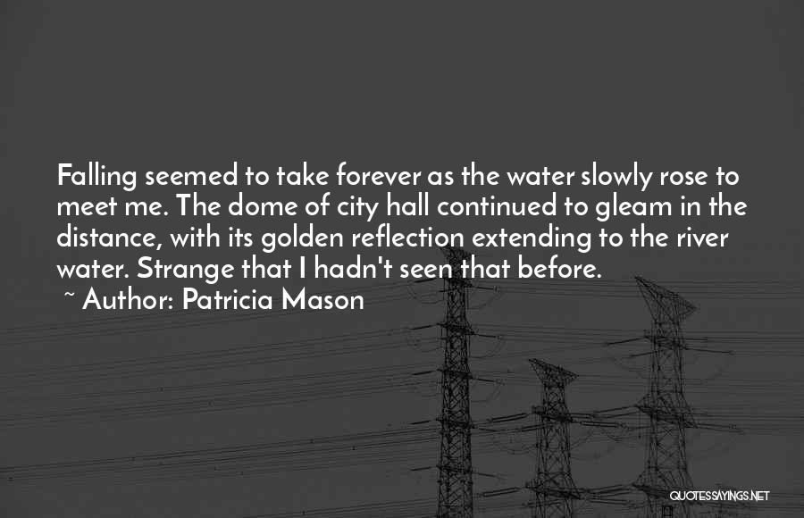 Falling Water Quotes By Patricia Mason