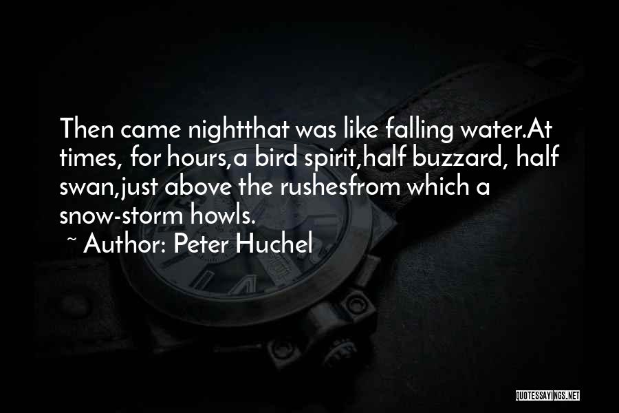 Falling Water Quotes By Peter Huchel