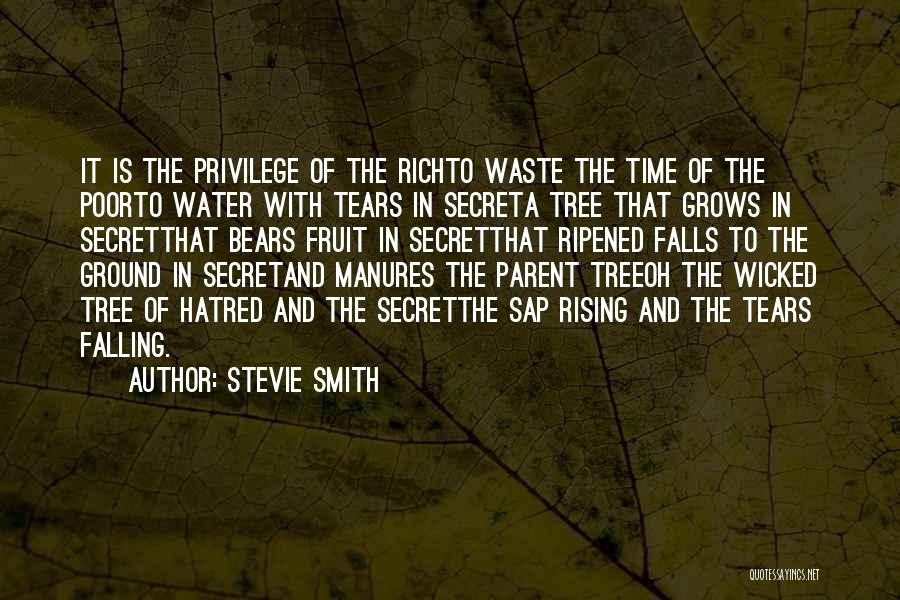 Falling Water Quotes By Stevie Smith