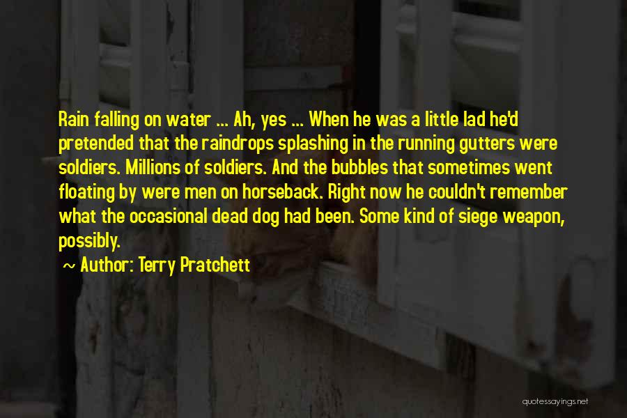 Falling Water Quotes By Terry Pratchett