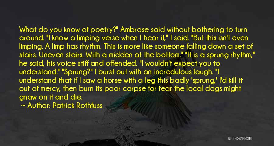 Falling With Someone Quotes By Patrick Rothfuss