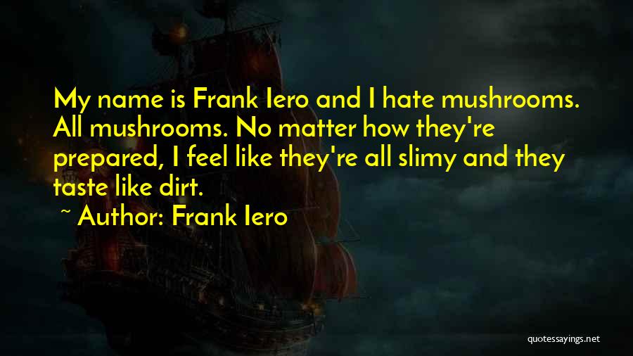 Fallout 4 Companion Quotes By Frank Iero