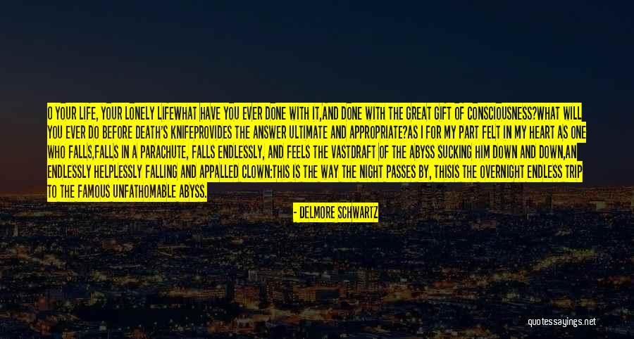 Falls And Life Quotes By Delmore Schwartz