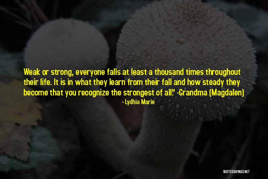 Falls And Life Quotes By Lydhia Marie
