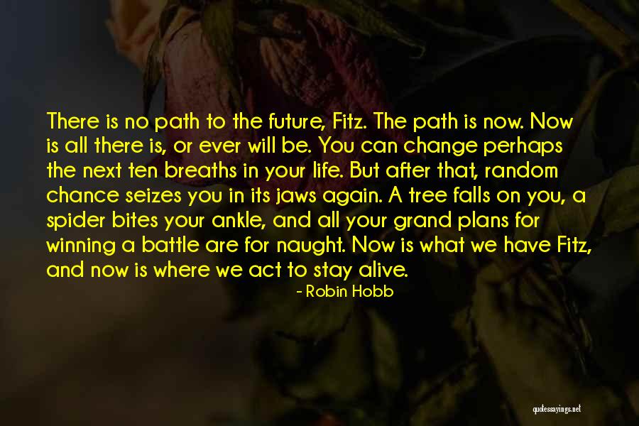 Falls And Life Quotes By Robin Hobb