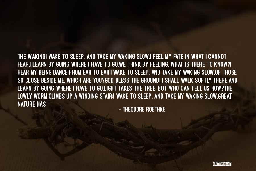 Falls And Life Quotes By Theodore Roethke