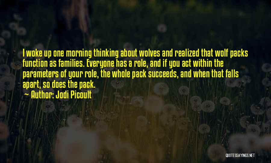 Falls Apart Quotes By Jodi Picoult