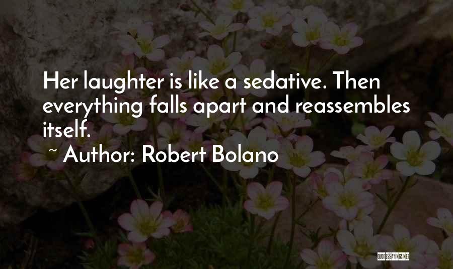 Falls Apart Quotes By Robert Bolano