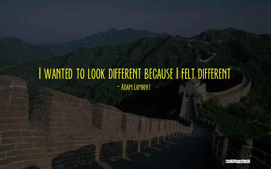 Falolandia Quotes By Adam Lambert Falolandia Quotes By Adam Lambert