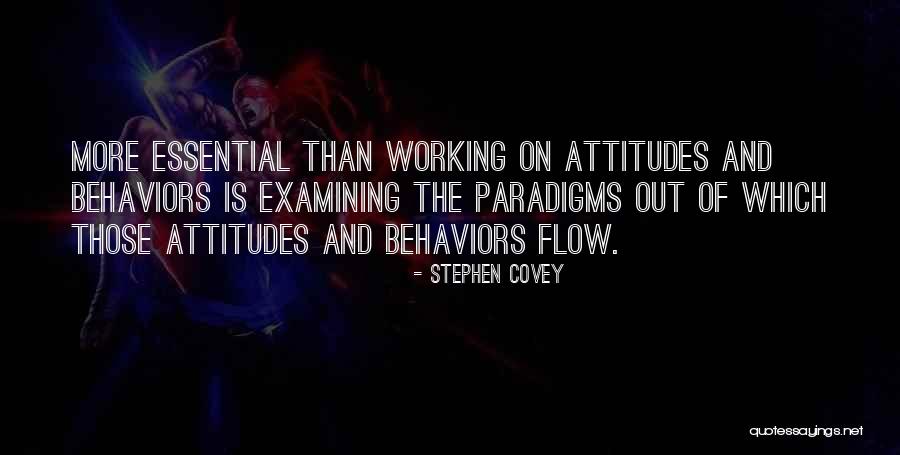 Falsas Quotes By Stephen Covey Falsas Quotes By Stephen Covey