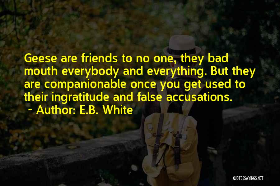 False Accusations Quotes By E.B. White