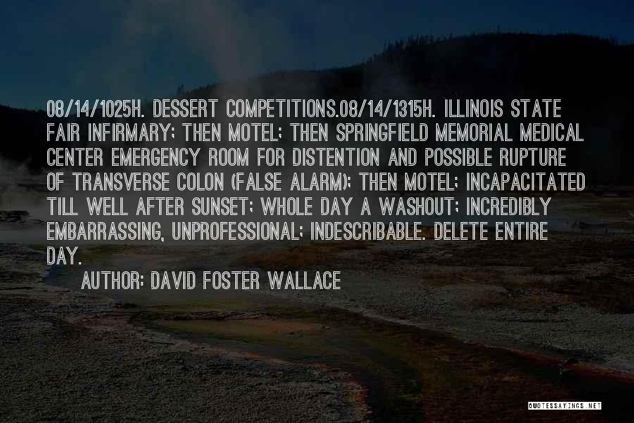 False Alarm Quotes By David Foster Wallace