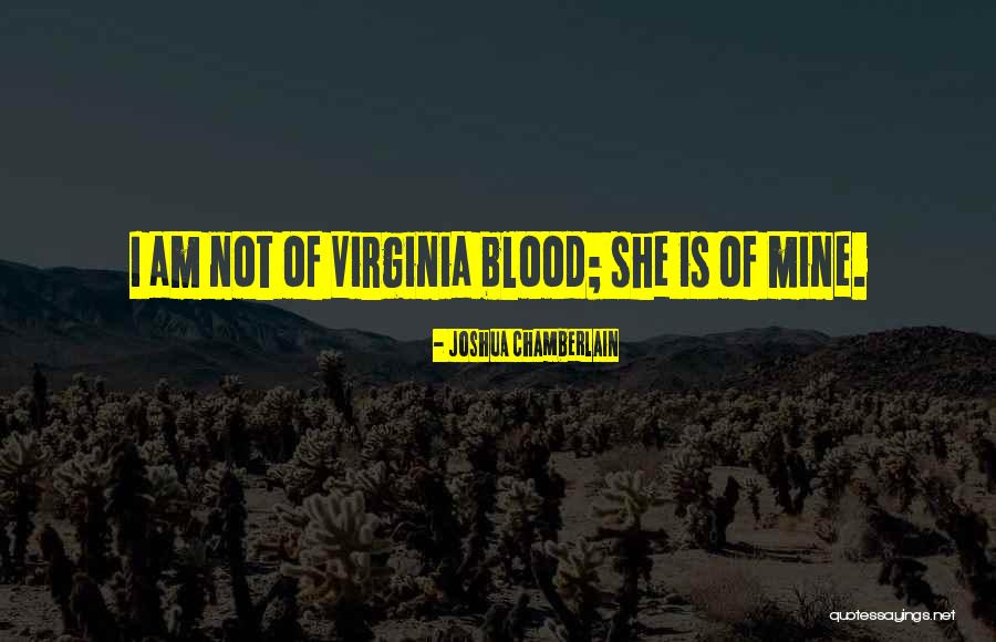 False And Misleading Quotes By Joshua Chamberlain False And Misleading Quotes By Joshua Chamberlain