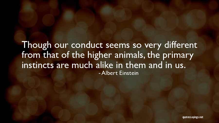 False Dawns Quotes By Albert Einstein False Dawns Quotes By Albert Einstein