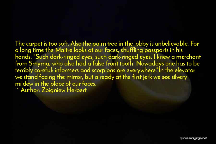 False Faces Quotes By Zbigniew Herbert