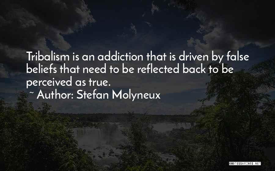 False Freedom Quotes By Stefan Molyneux