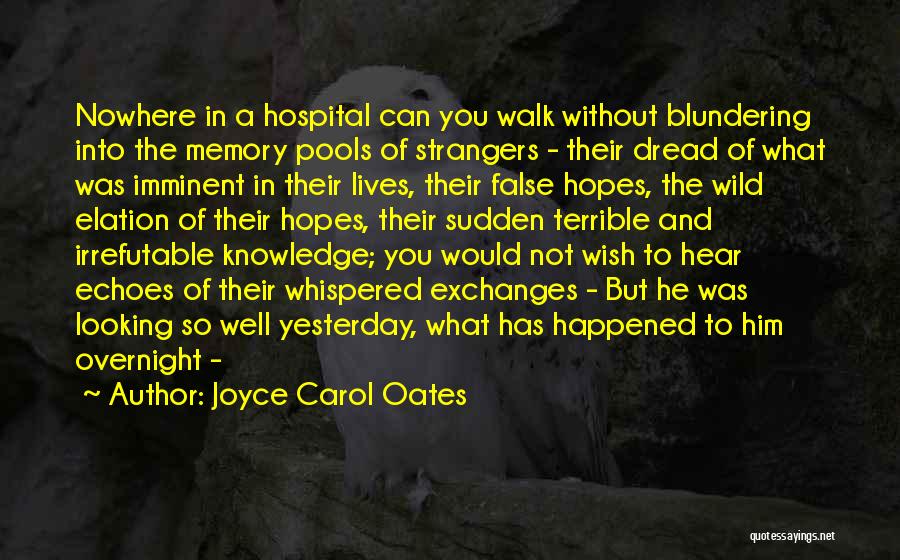 False Hopes Quotes By Joyce Carol Oates