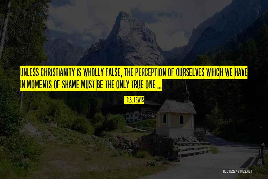 False Perception Quotes By C.S. Lewis False Perception Quotes By C.S. Lewis