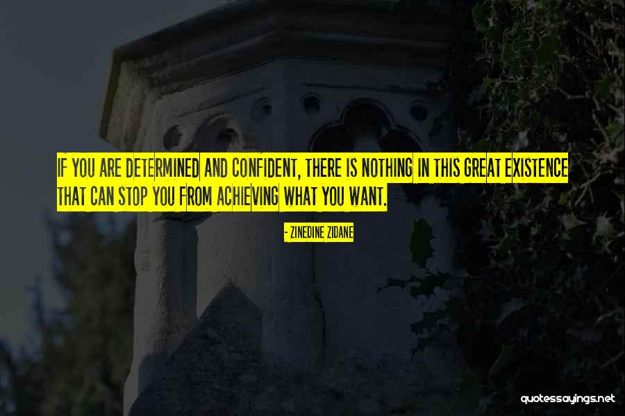 False Pretences Quotes By Zinedine Zidane False Pretences Quotes By Zinedine Zidane