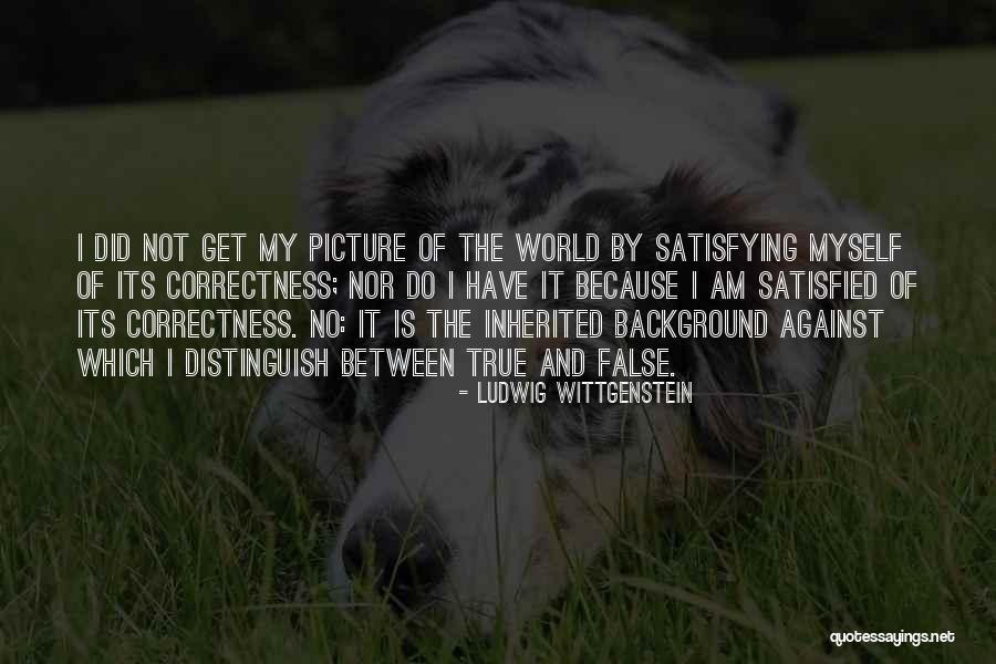 False Reality Quotes By Ludwig Wittgenstein