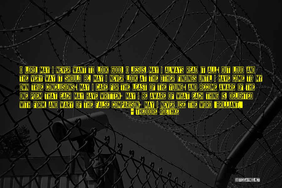 False Teaching Quotes By Theodore Roethke False Teaching Quotes By Theodore Roethke