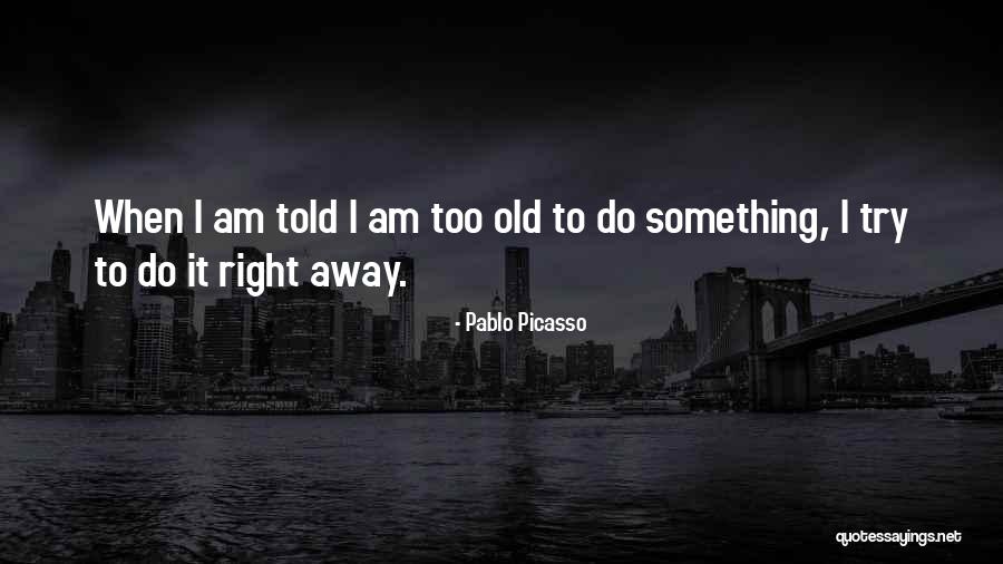 Falsidical Quotes By Pablo Picasso Falsidical Quotes By Pablo Picasso