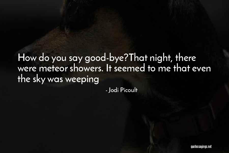 Falsies Mascara Quotes By Jodi Picoult Falsies Mascara Quotes By Jodi Picoult