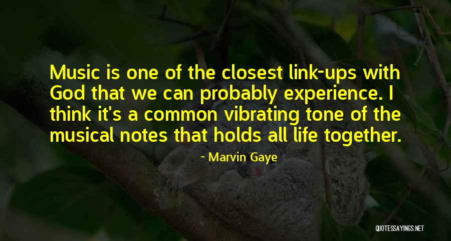 Falsificacion De Marcas Quotes By Marvin Gaye Falsificacion De Marcas Quotes By Marvin Gaye