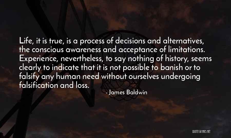Falsification Quotes By James Baldwin Falsification Quotes By James Baldwin