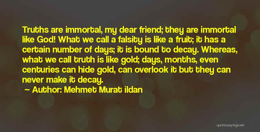 Falsity Quotes By Mehmet Murat Ildan