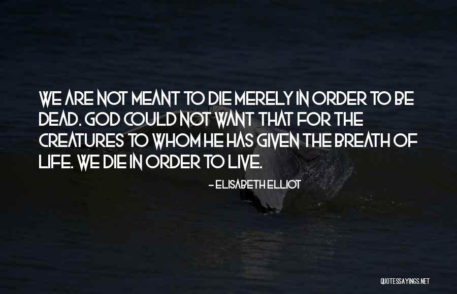 Faltaram Quotes By Elisabeth Elliot Faltaram Quotes By Elisabeth Elliot