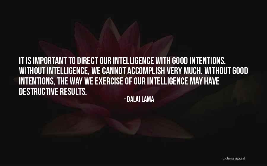 Faltos Murillo Quotes By Dalai Lama Faltos Murillo Quotes By Dalai Lama